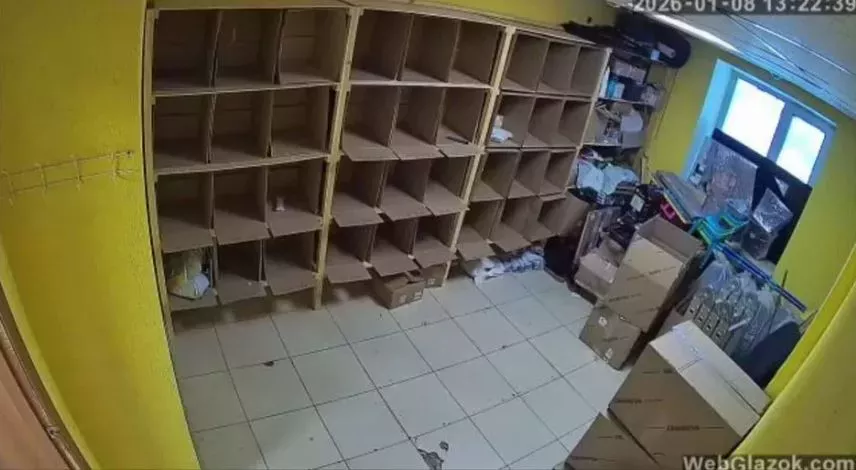 /
