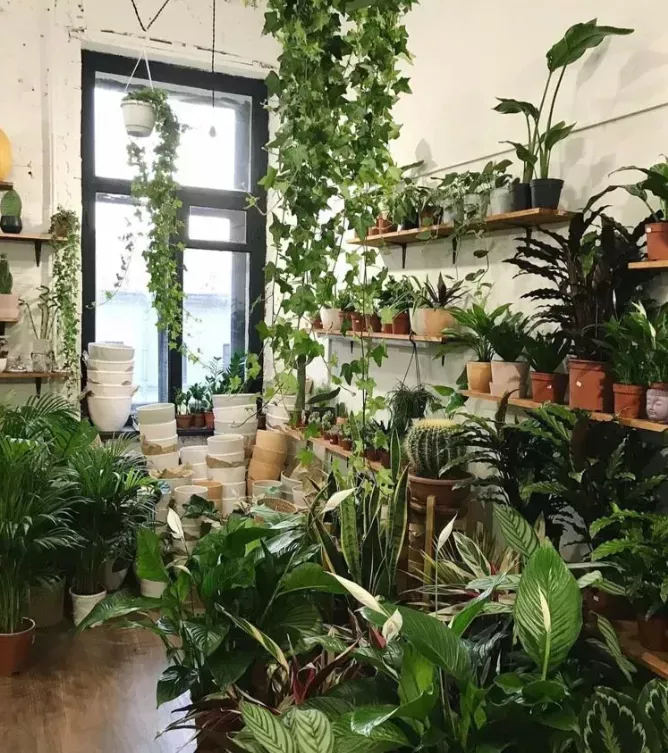/