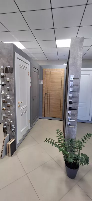 Бизнес по продаже дверей.