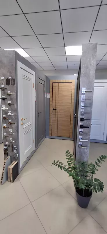 Бизнес по продаже дверей.