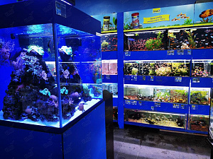 Магазин аквариумов и зоотоваров 